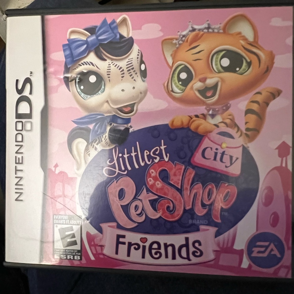 Nintendo DS game